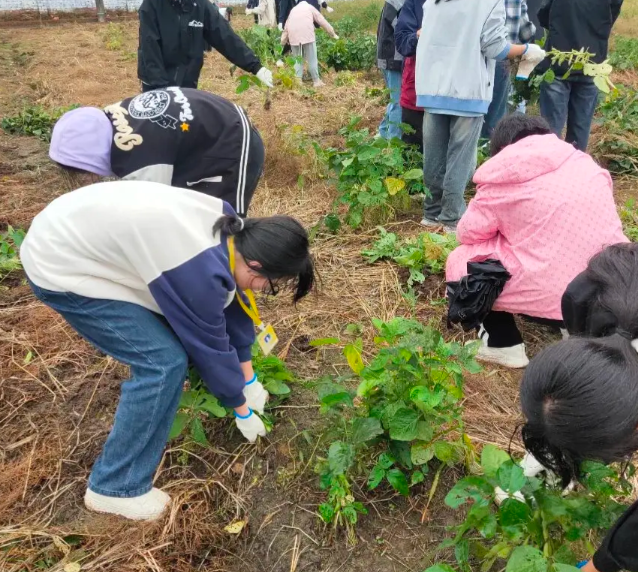 课后作业到学业评价全面分层让每一位学生都能适配自身学习节奏